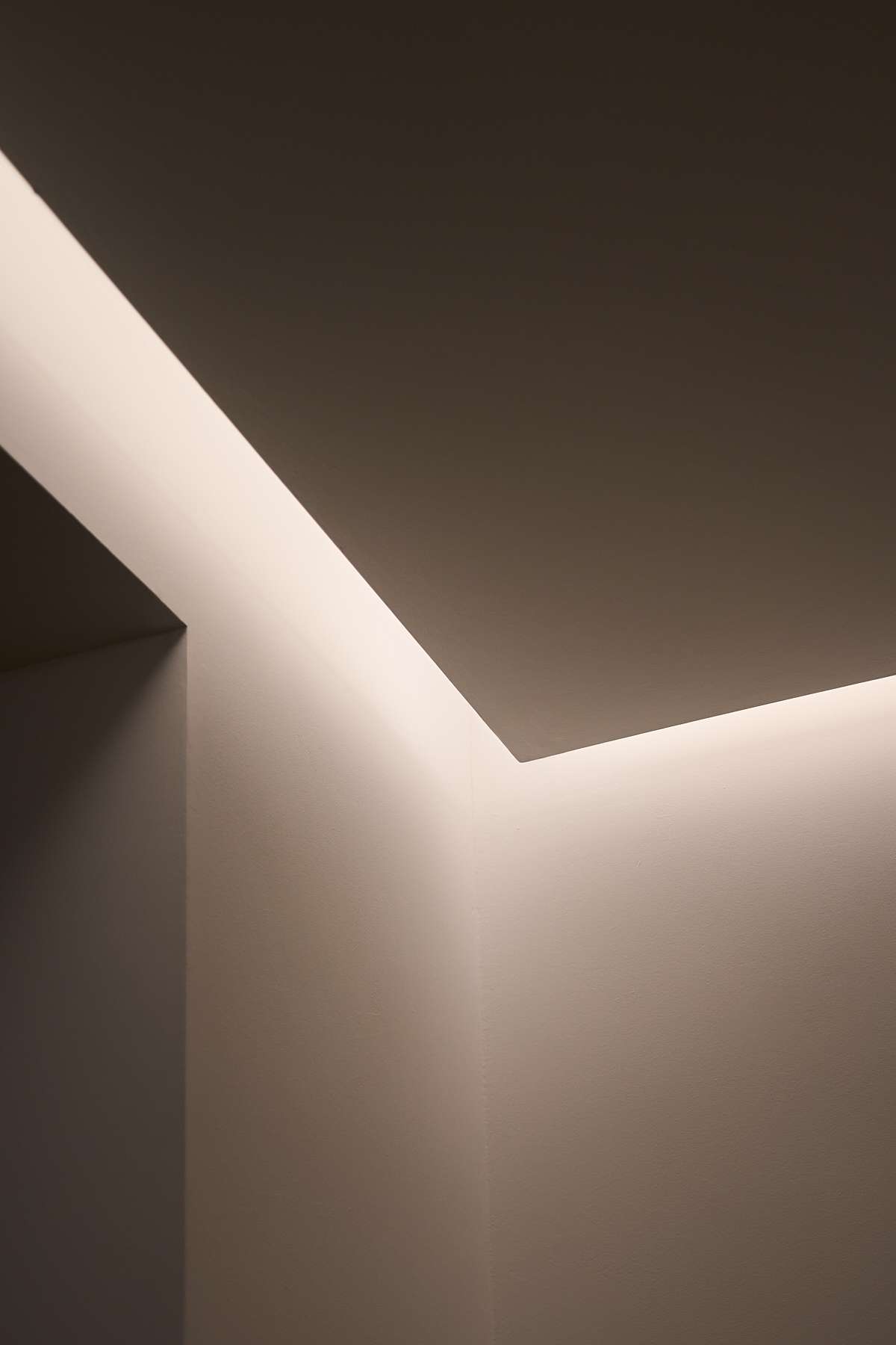 Architetto Bologna - 2025 10 CARLOTTAFRANCESCHI0012 4@giulianalopresti2025 lowres 2 3